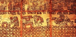 Mayan Indian Codices